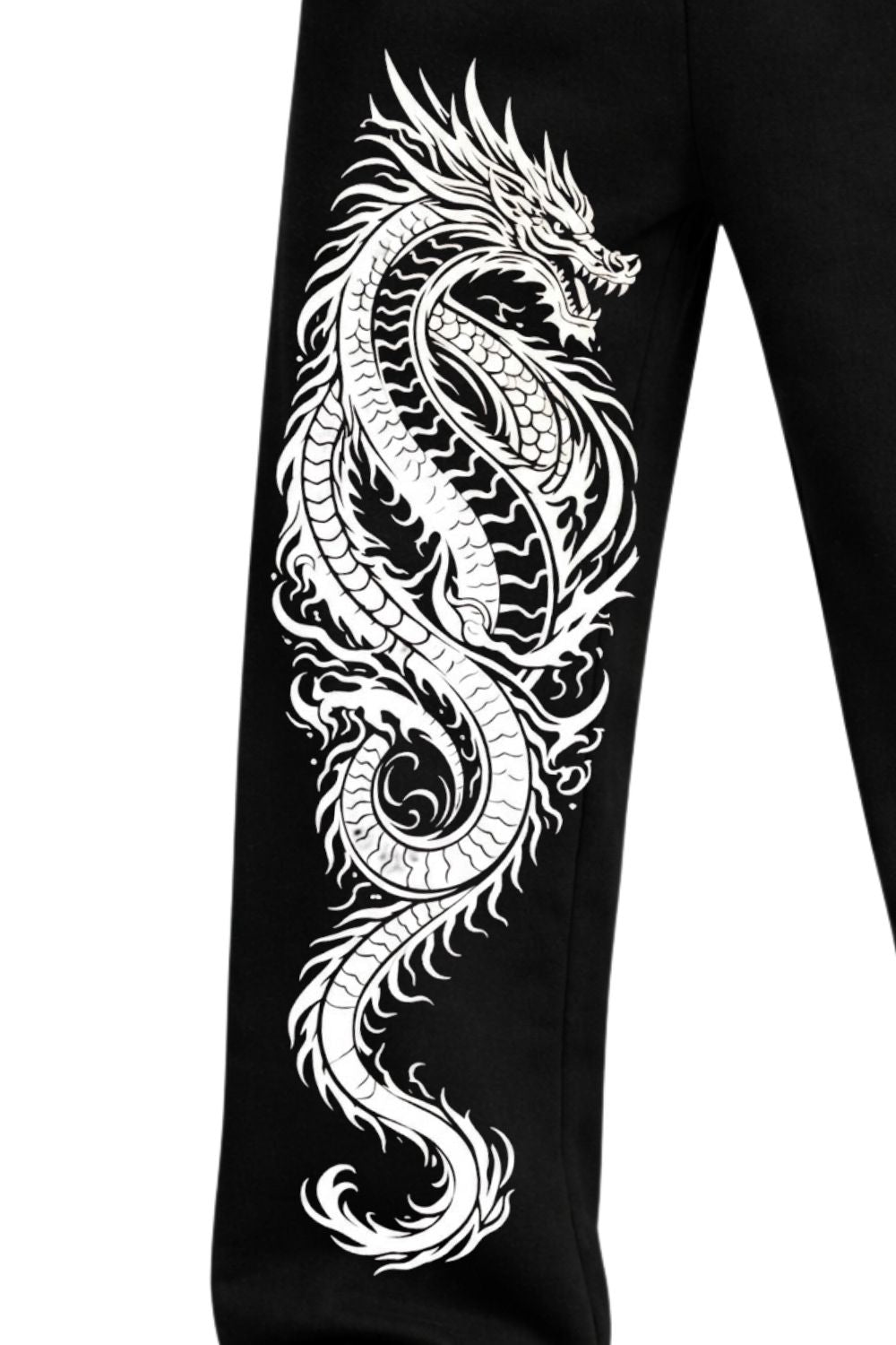Cotton Baggy 240 GSM Heavy SweatPant-Dragon